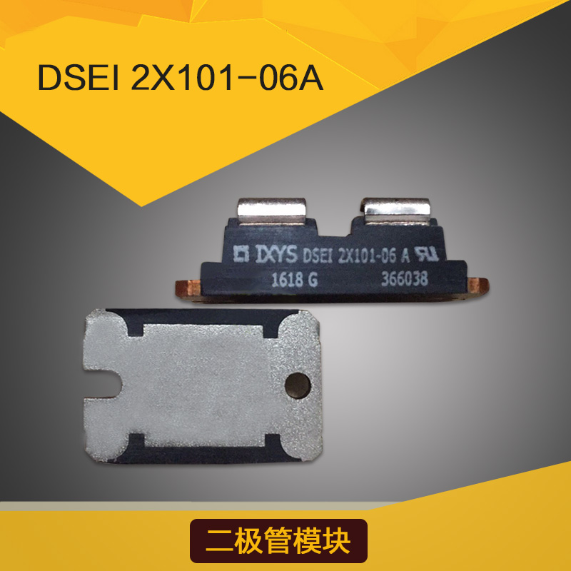 DSEI-2X101-06A